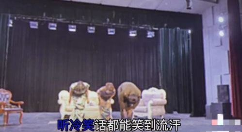 从经纪到演员 张丹峰前经纪人跨界话剧舞台，旗袍造型惊艳四座